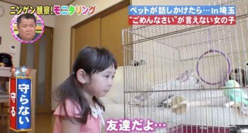 日韩污综艺视频